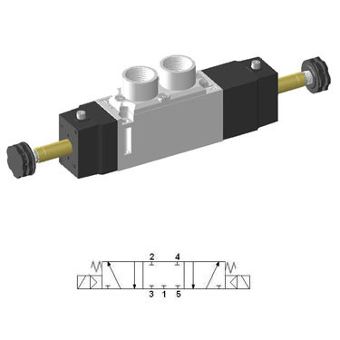Economy Valve SCE533D-F5-P